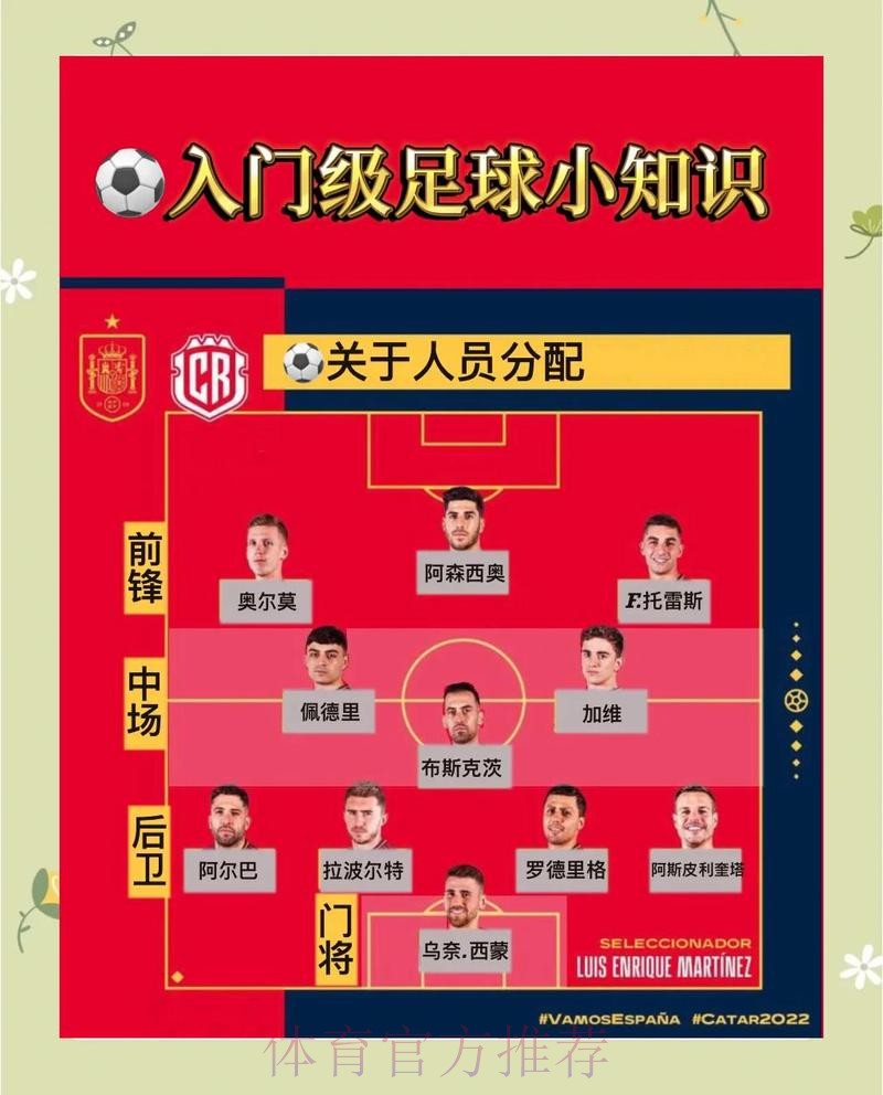 全面解析世界杯买球分析官方技巧